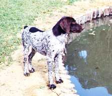 Skila 8meses.jpg (8456 bytes)