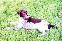 Skila 8meses2.jpg (12194 bytes)