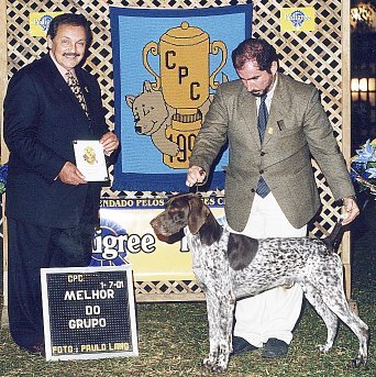 Melhor do Grupo, sob julgamento do sr. Rafael de Santiago, CPC 2001
