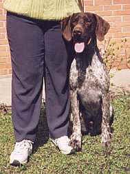 buio.jpg (10635 bytes)