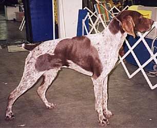 buio2.jpg (14443 bytes)