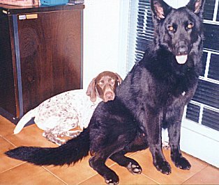 jere2.jpg (27931 bytes)