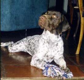 jere3.jpg (11640 bytes)