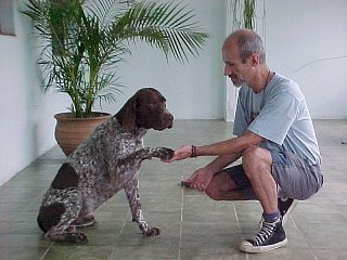 merlin.jpg (23320 bytes)