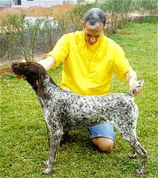 paprika3.jpg (54248 bytes)