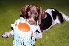 thor-casa.jpg (6645 bytes)