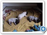 Fotos em 21/novembro