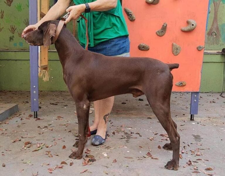 Abre Eros